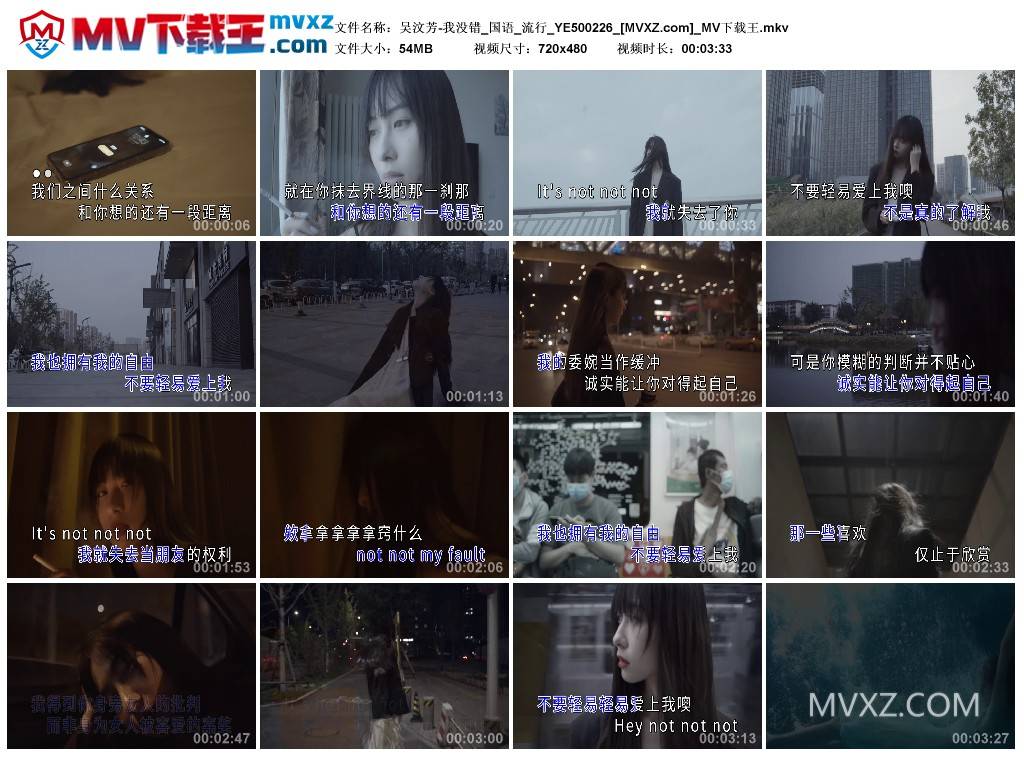 吴汶芳-我没错_国语_流行_YE500226
